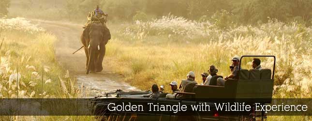 Golden Triangle with Wildlife Experience