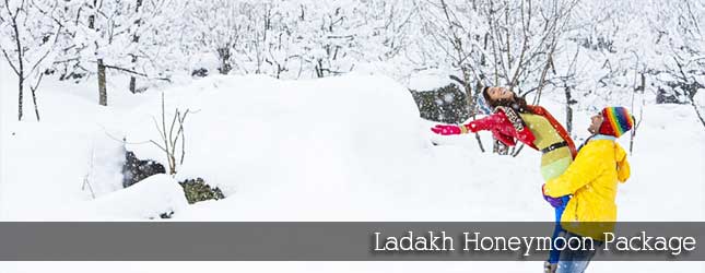 Ladakh Honeymoon Package
