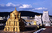 Tirupati Darshan Tours