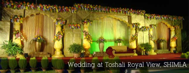 Wedding at Toshali Royal View, Shimla
