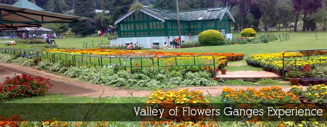 Valley of Flowers Ganges Experience
