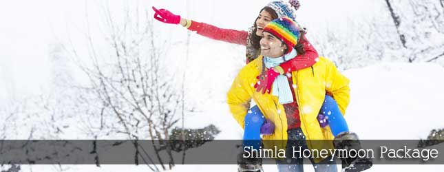 Shimla Honeymoon Package